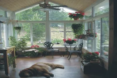 Dog lying in living room