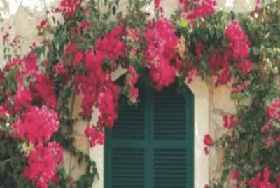 Pretty door bead