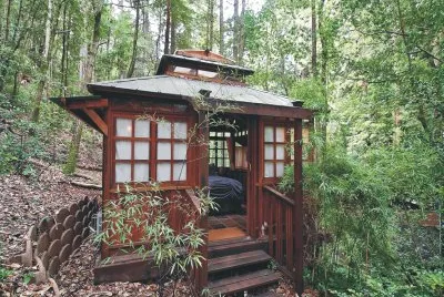House between grove