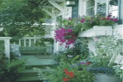 Beautiful balcony with stairs and flowers