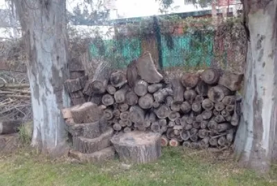 LeÃ±a