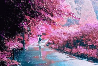 imagem jigsaw puzzle