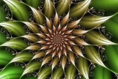 åˆ†å½¢