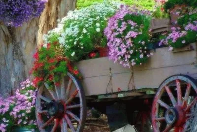 wheelbarrow jigsaw puzzle