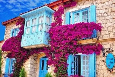 foto jigsaw puzzle