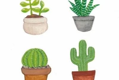 Plantas jigsaw puzzle