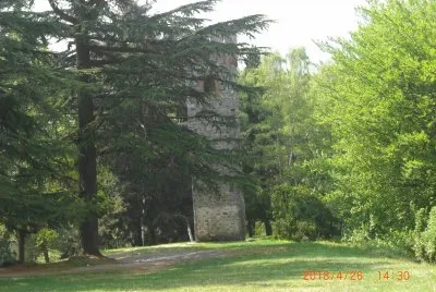 BURCINA