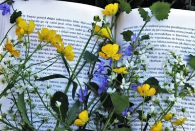 llibre