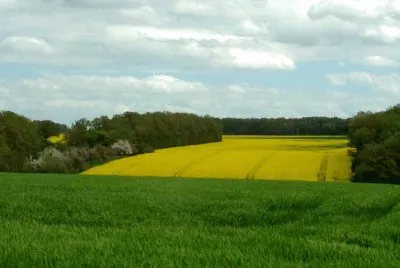 Moussonvilliers Orne