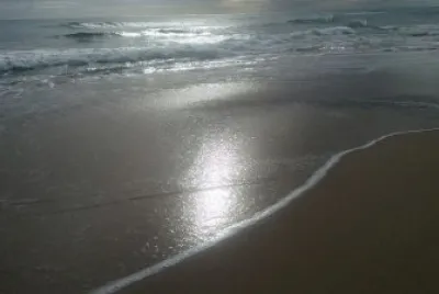 varios