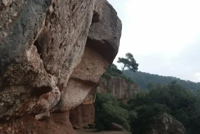 varios