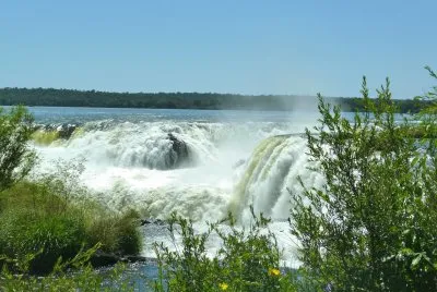 Argentine Iguazu