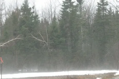 Warm spring day brings melting mist