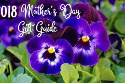 2018 Mother 's Day Gift Guide