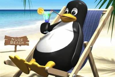 pingi