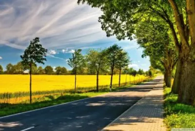 landscape jigsaw puzzle