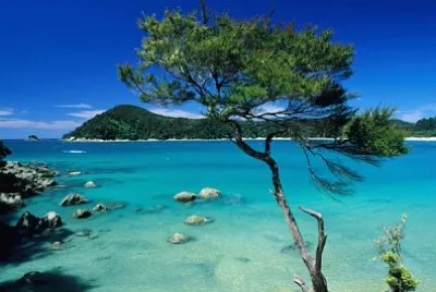 New Zeland jigsaw puzzle