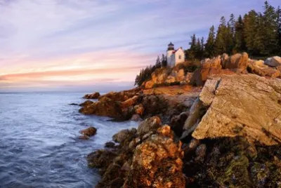 NATUREZA jigsaw puzzle
