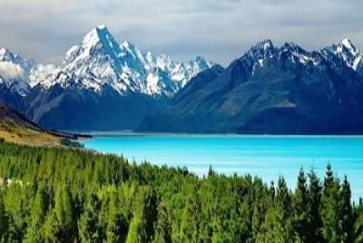 New Zeland jigsaw puzzle