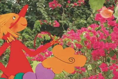 Cindy and Butterflies