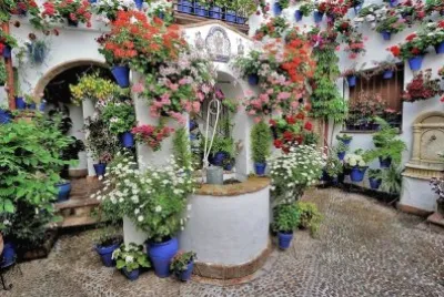 Patio de Cordoba