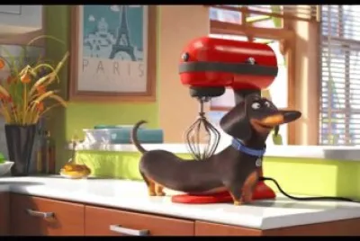 salxi