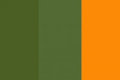 COLORS
