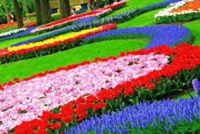 spring-188 jigsaw puzzle