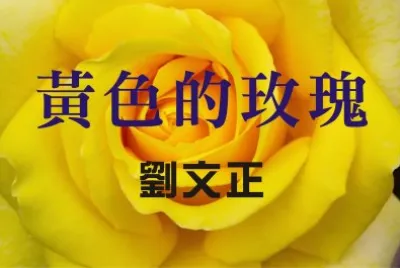åŠ‰æ–‡æ­£ é»ƒè‰²çš„çŽ«ç‘°