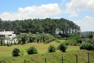 CampiÃ±a uruguaya.