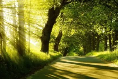 una maÃ±ana soleada