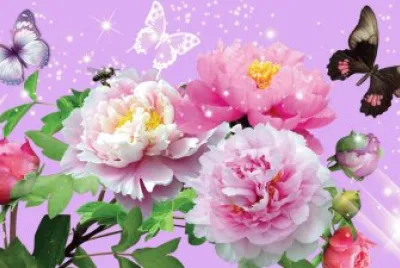 פאזל של rosas con unas lindas mariposas