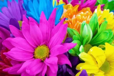 פאזל של flor cada una con su color