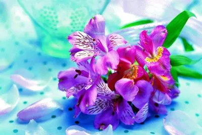 פאזל של un lindo ramo de flores para las madres