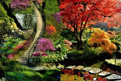 פאזל של paisaje