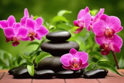 פאזל של una plantita