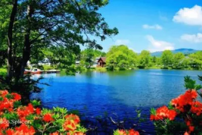 פאזל של laguna o lago