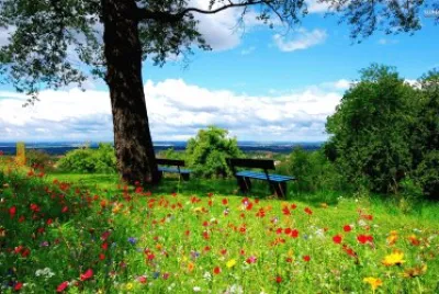 פאזל של un dia en el campo