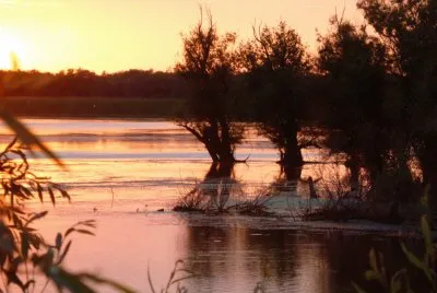 delta du Danube Roumanie