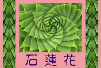 åœ–æ–‡ç·¨è¼¯