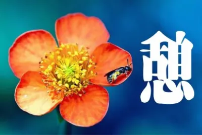 èŠ±èˆ‡é¡Œå­—