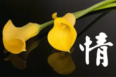 èŠ±èˆ‡é¡Œå­—