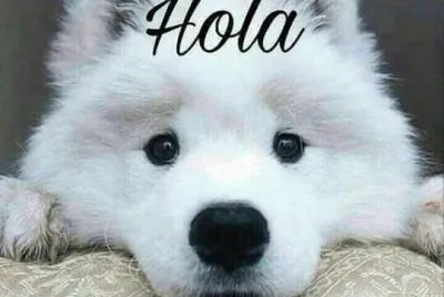 hola
