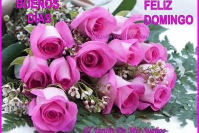 rosas