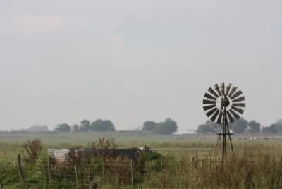 Molino