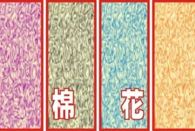 æ£‰èŠ±