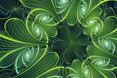 å¤¢å¹»ä¹‹ç¾Ž
