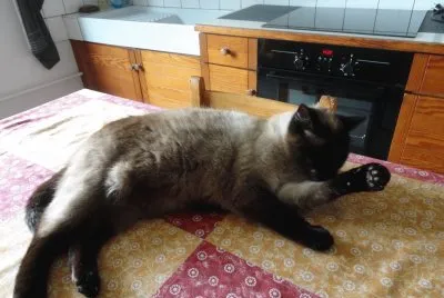mia jigsaw puzzle