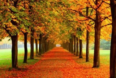 OtoÃ±o
