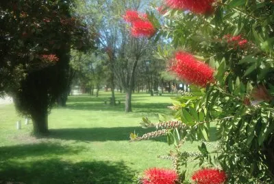 paisaje